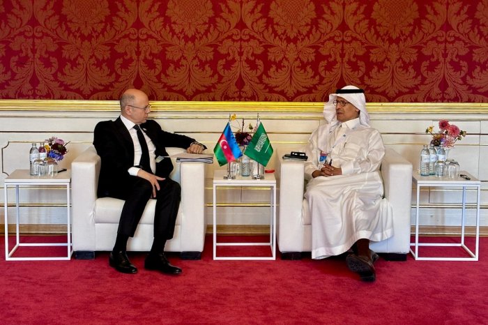   Aserbaidschan und Saudi-Arabien besprechen Zusammenarbeit im Kohlenwasserstoffsektor  