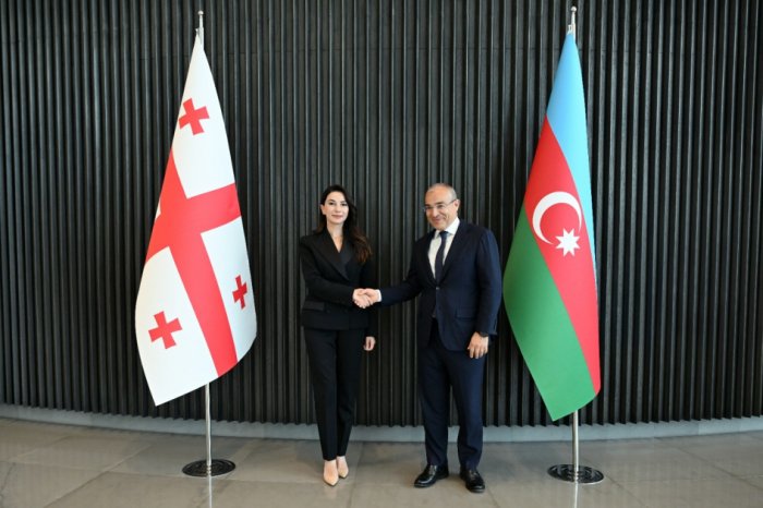 Azerbaijan, Georgia review priority areas for development of economic relations
