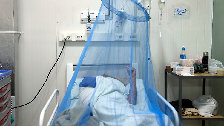   Chikungunya-Virus breitet sich rasant aus  
