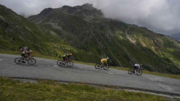   Tierseuche ausgebrochen: Tour de France muss spontan umplanen  