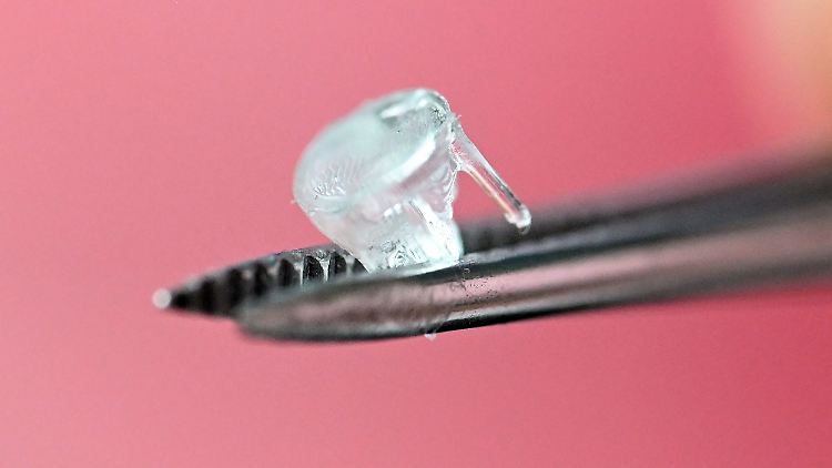   Wann kommen unsere Organe aus dem Drucker?  