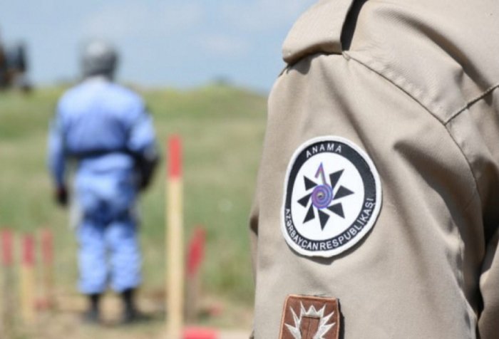   Azerbaijan demined over 1,600 hectares last week  