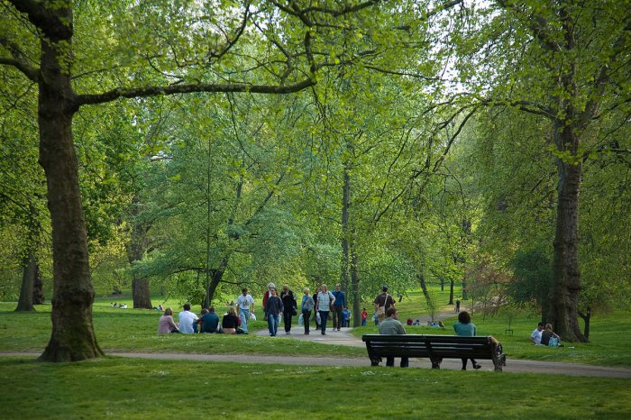 Füzuli şəhərində 25 hektarda Mərkəzi park salınacaq
