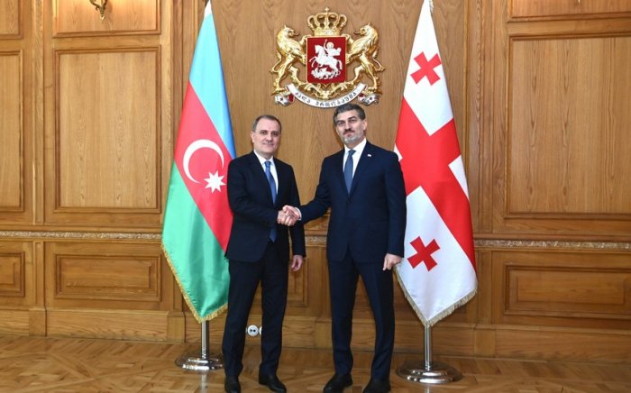    Ceyhun Bayramov Gürcüstan Prezidenti ilə görüşüb     
