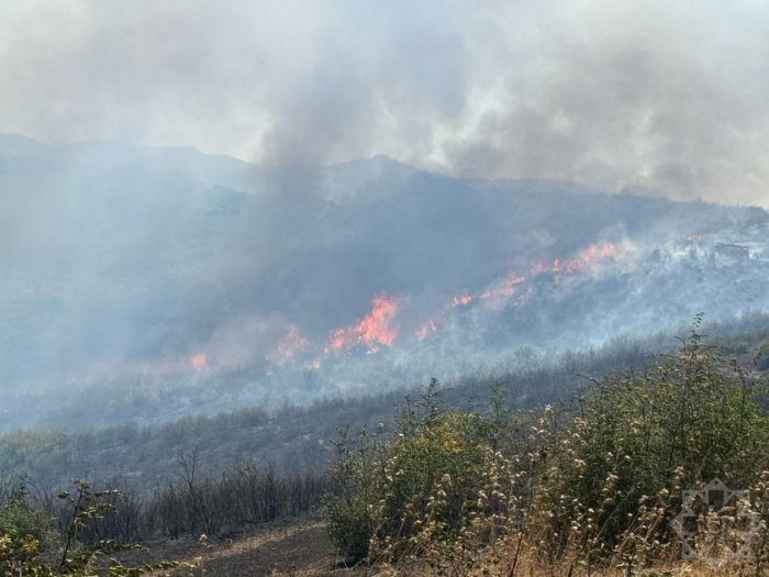 Cəlilabadda meşə ərazisinə keçən yanğın lokallaşdırılıb  
