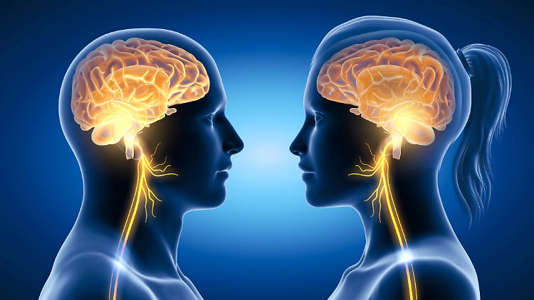   Neues Implantat hilft bestimmten Rheuma-Patienten  