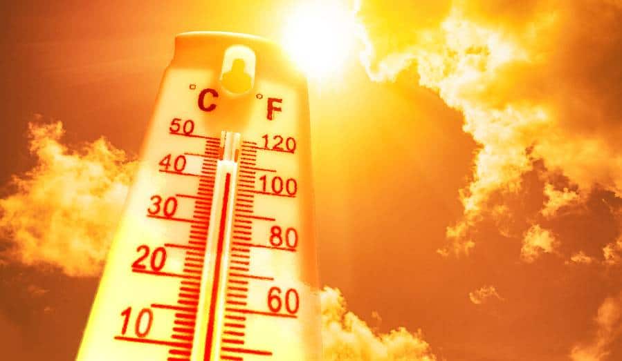 Extreme heat is breaking records worldwide: UN agency