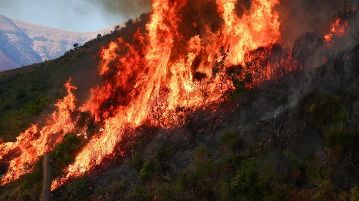 Wildfires rage across southern Europe as temperatures top 40C