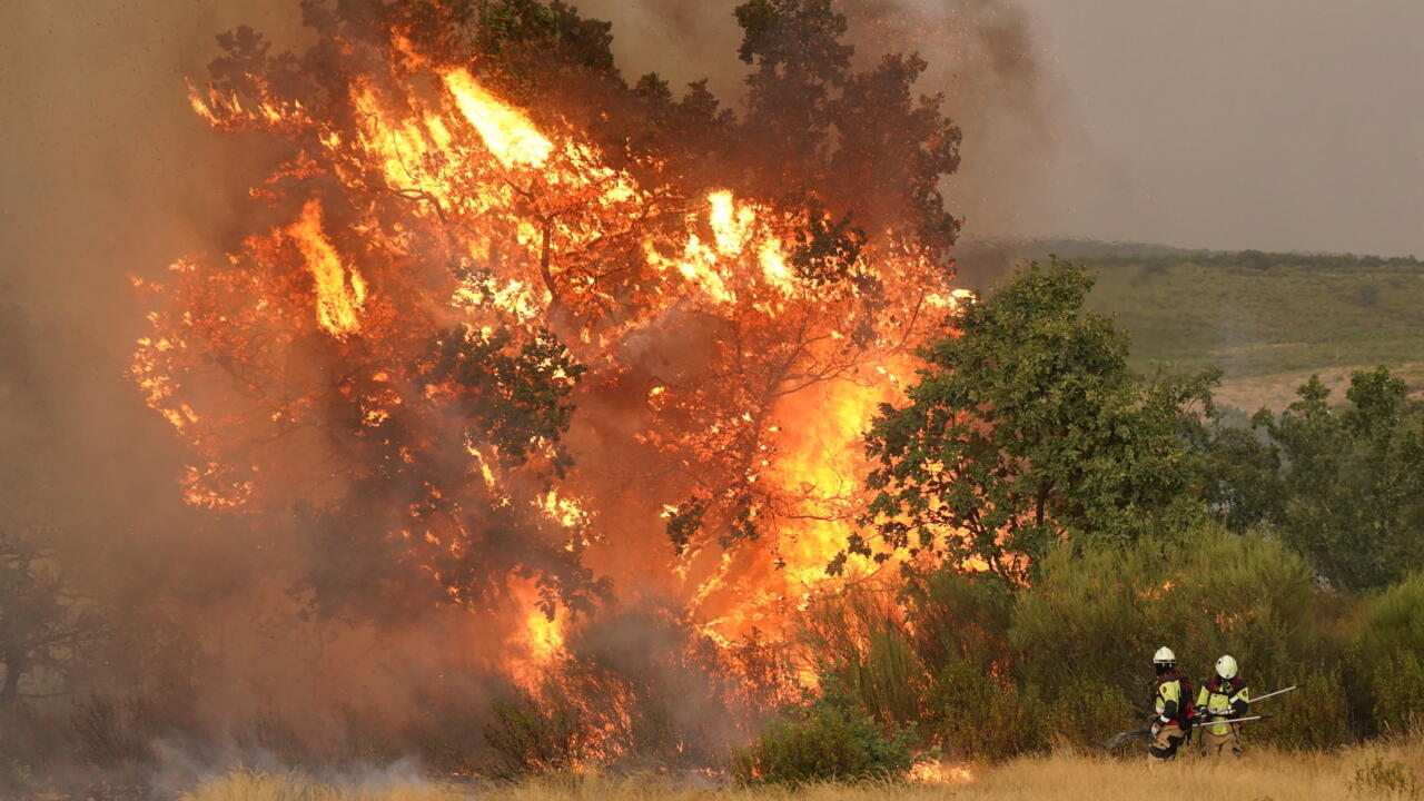 EU sending wildfire help to Spain as death toll rises