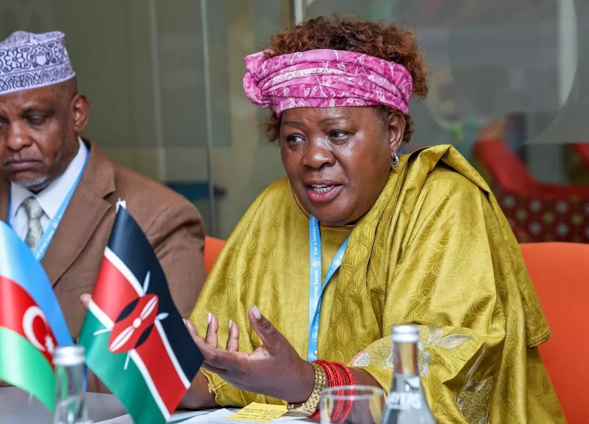 Azerbaijan, Kenya explore prospects for cooperation on preparation for WUF13