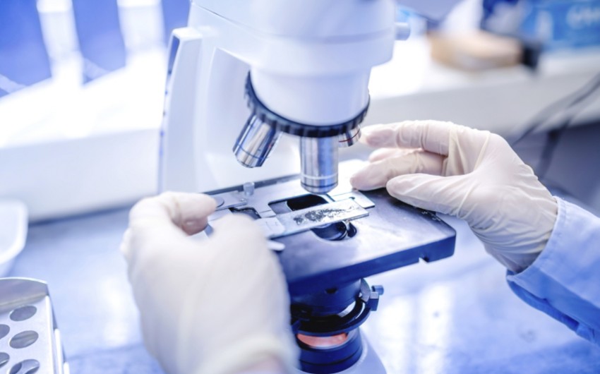   Zahl der wissenschaftlichen Forscher in Aserbaidschan wurde bekannt gegeben  