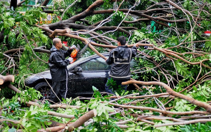 Typhoon Kajiki leaves 3 dead, 10 injured in Vietnam