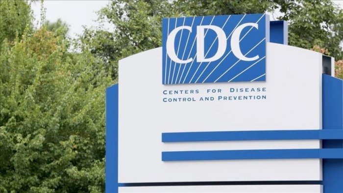 White House appoints RFK Jr. deputy as acting CDC director