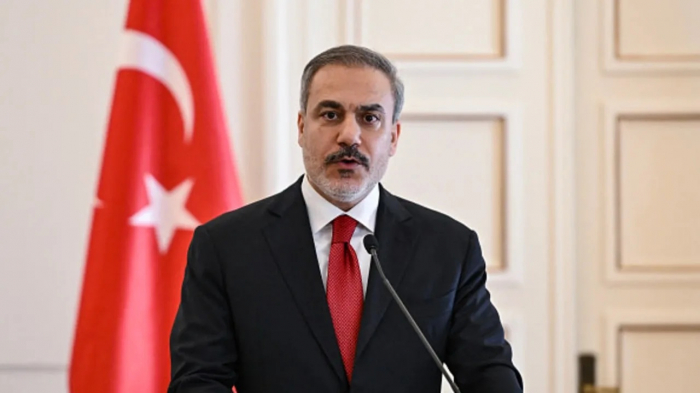 Fidan Misirə gedəcək