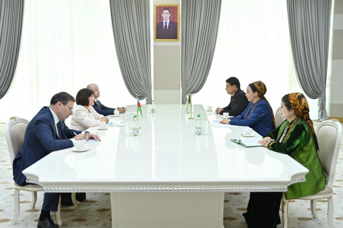 Sahibə Qafarova Türkmənistan Məclisinin sədri ilə görüşüb  
