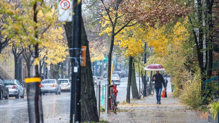 Sentyabr üçün hava proqnozu