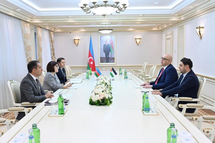 Azerbaijani Parliament Speaker meets with Palestinian ambassador