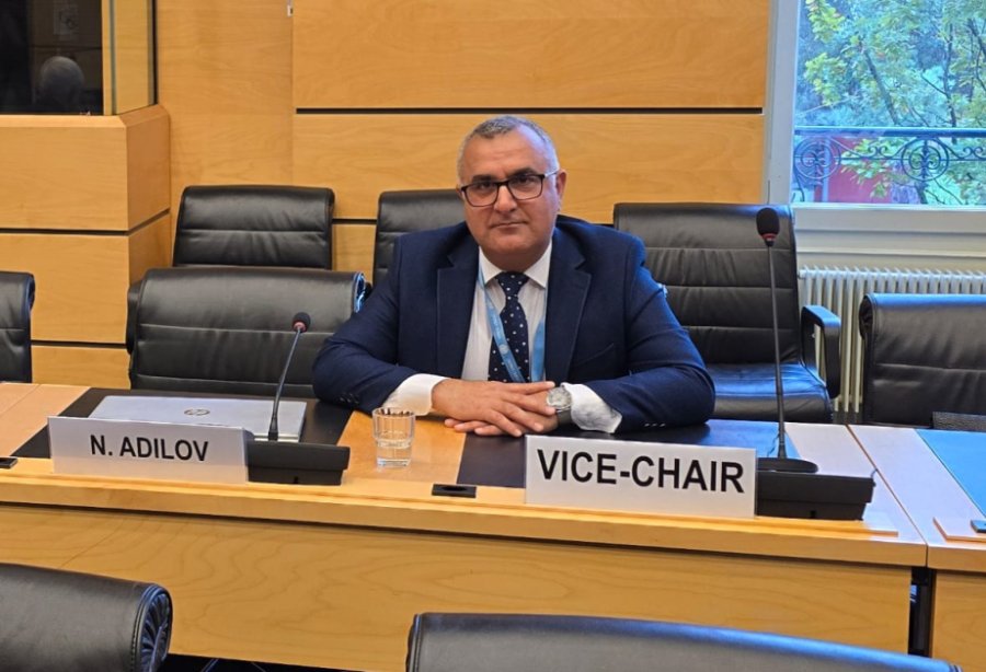 Azerbaijani representative elected Vice-Chair of UN Committee on Economic, Social and Cultural Rights