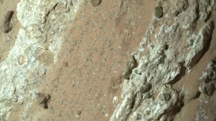  Gab es Leben auf dem Mars? 