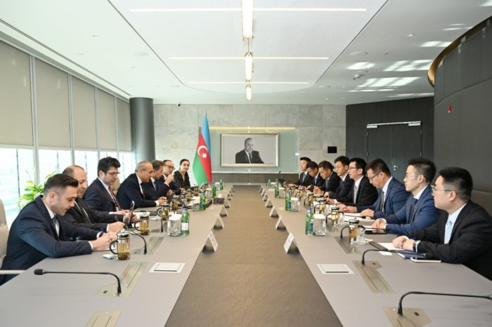 Azerbaijan, China explore cooperation opportunities in renewable energy and water resources management