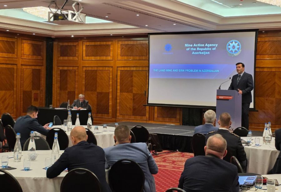 ANAMA delegation attends international conference on mine action