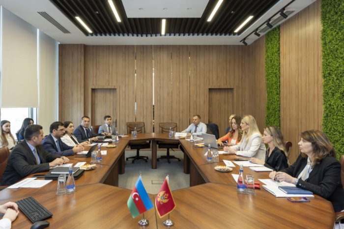 Azerbaijan, Montenegro hold discussions on pension provision