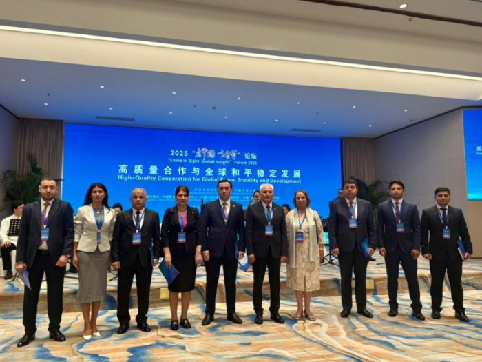   New Azerbaijan Party delegation