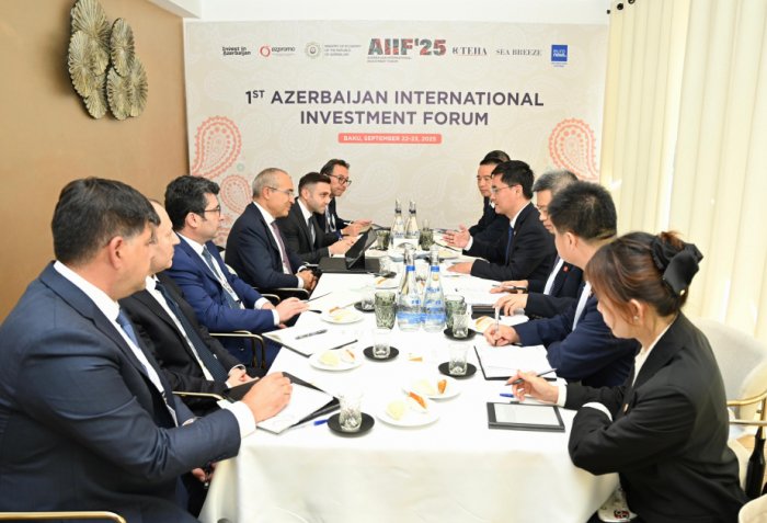   Azerbaijan, China discuss cooperation in green energy, infrastructure and industry  