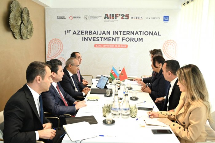 Azerbaijan, Montenegro mull strengthening economic partnership