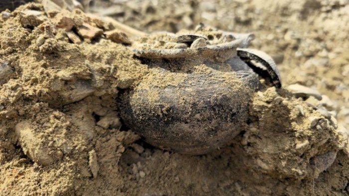 Çexiyada nadir arxeoloji artefaktlar aşkarlanıb