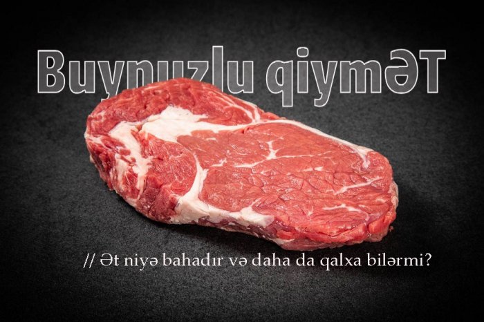    Buynuzlu qiymƏT | TƏHLİL      