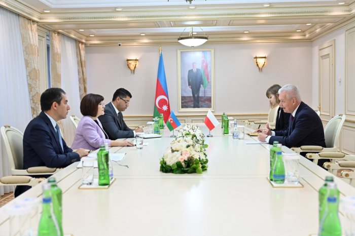   Officials from Azerbaijan and Poland discuss political and economic collaboration  