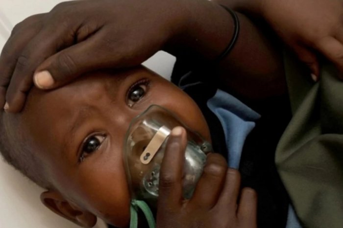   In Nigeria sind 162 Menschen am Lassa-Fieber gestorben  