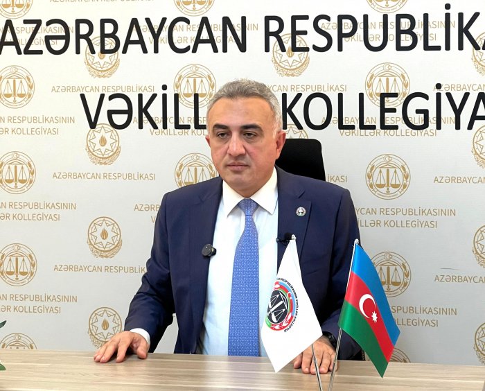 Anar Bağırov beynəlxalq konfransda videoformatda çıxış edib