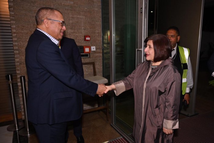   Azerbaijan`s parliamentary delegation leaves for South Africa on working visit  