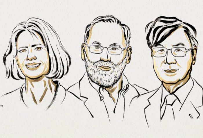    Fiziologiya və tibb üzrə Nobel mükafatının qalibləri açıqlanıb  
   