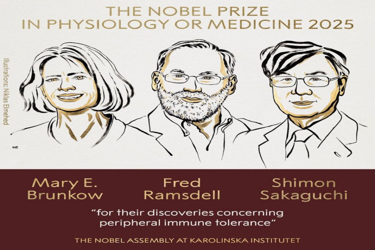 Brunkow, Ramsdell and Sakaguchi win 2025 Nobel medicine prize