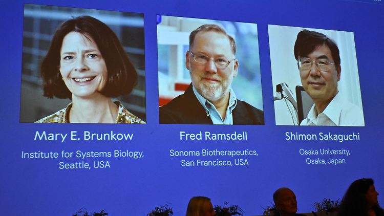  Zwei US-Amerikaner und ein Japaner erhalten Medizin-Nobelpreis 