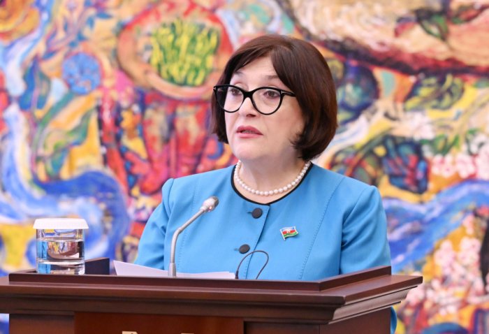   Sahiba Gafarova: Cooperation with Croatia in the field of demining deserves special attention  