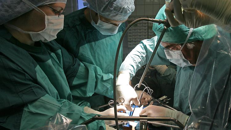   Schweineleber in lebenden Menschen transplantiert  