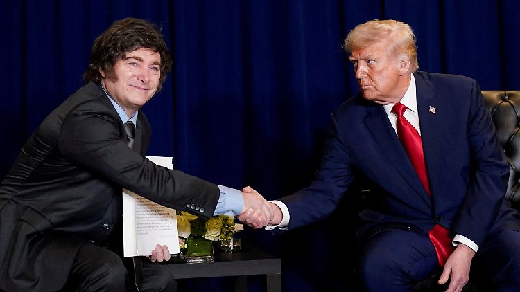   Trump greift Milei mit Milliarden unter die Arme  