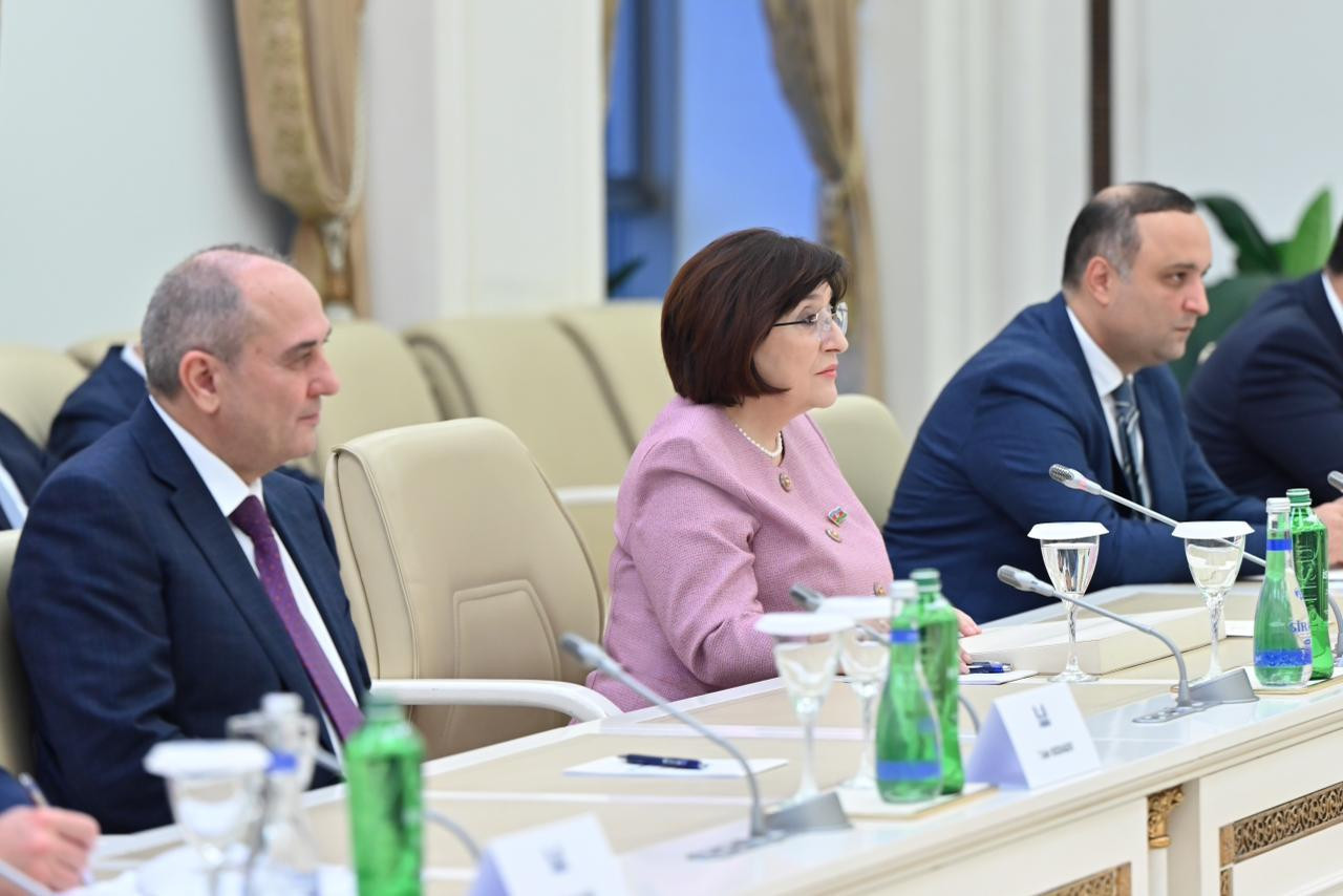Speaker of Milli Majlis meets with ICAPP delegation