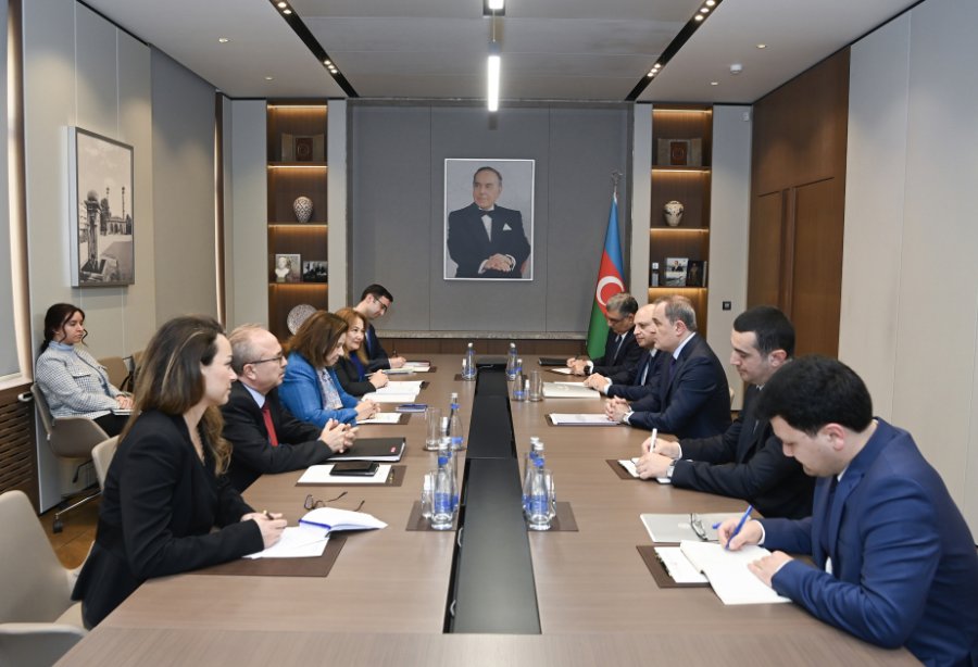 Turkish Deputy Foreign Minister briefed on Azerbaijan-Armenia normalization process