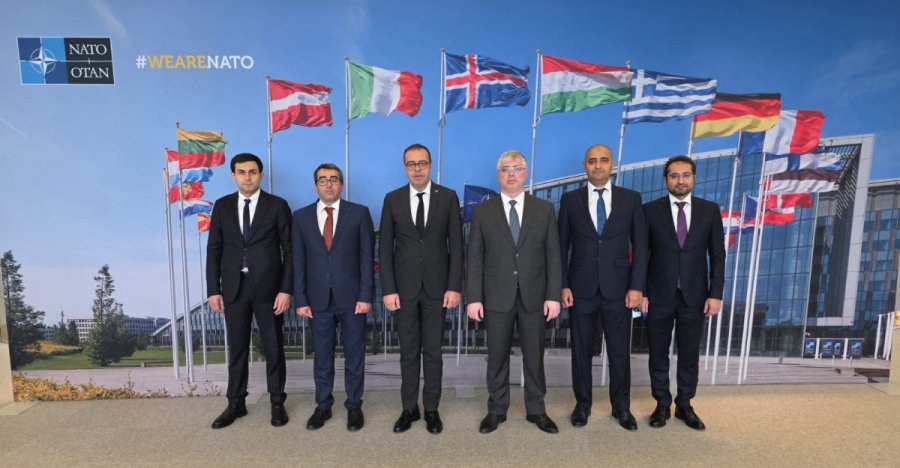 ANAMA, NATO discuss cooperation in humanitarian demining