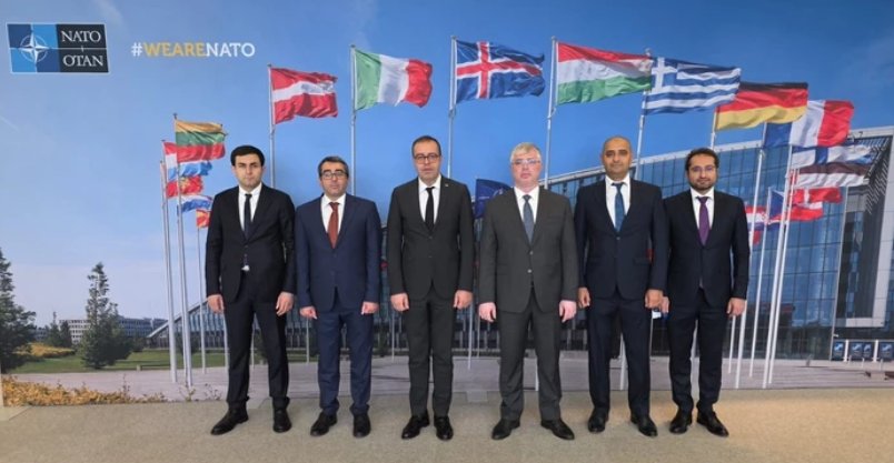   ANAMA y la OTAN analizaron las perspectivas de los esfuerzos conjuntos de desminado  