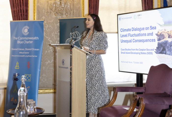   Leyla Aliyeva attends Flagship Climate Dialogue in London  