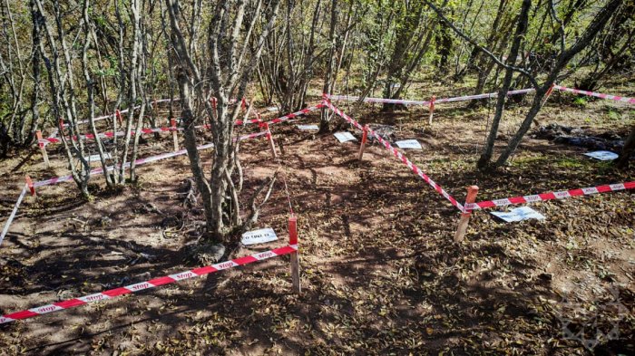   Remains of more than 10 people discovered in Balligaya village  