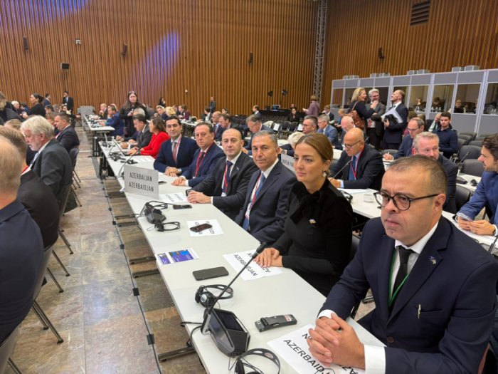 Azerbaijani delegation attends 71st annual session of NATO PA