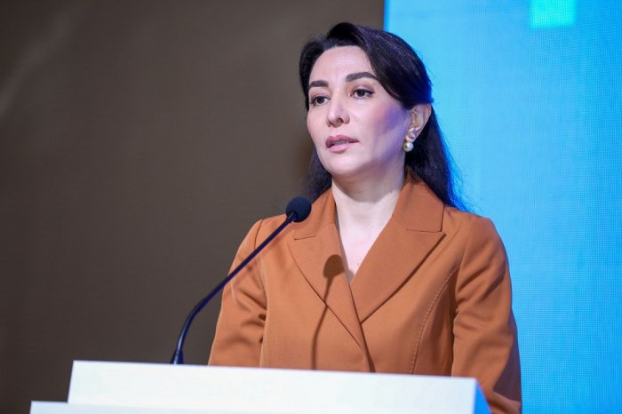       Ombudsman:    “Psixi sağlamlıq hüququ fundamental insan hüququdur”  
   