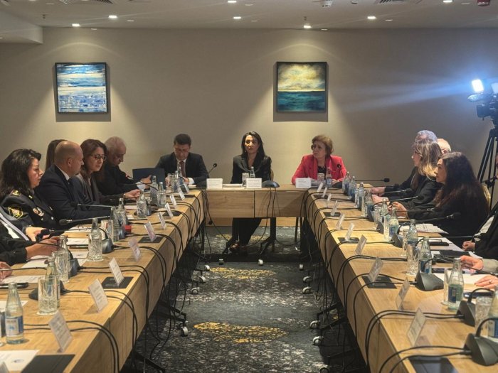    Səbinə Əliyeva:  “ İnsanlar “dəli” və ya “ruhi xəstə” damğası vurulacağından çəkinirlər”